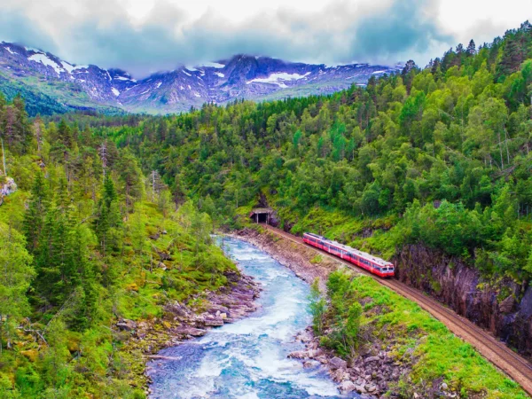 Et rødt tog kjører på skinner langs en elv, omgitt av tett, grønn skog og fjell under en overskyet himmel.