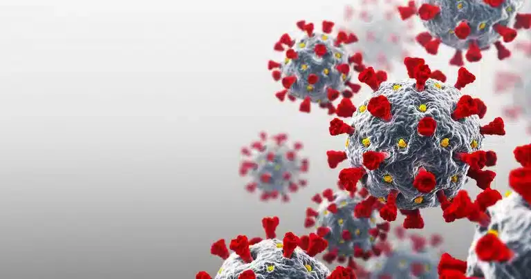 3D-rendering av koronaviruspartikler med spisse, røde proteinprojeksjoner mot en lysegrå bakgrunn.