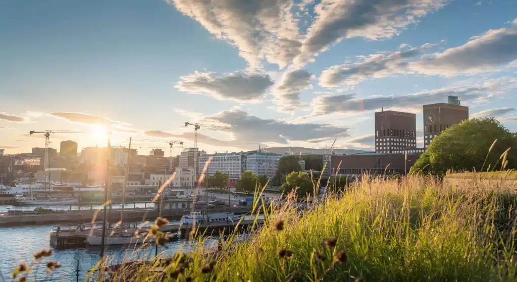oslo-tveita Gressbevokst ås i forgrunnen med et bylandskap, kraner, vannkanten og moderne bygninger under en delvis overskyet himmel i solnedgang.
