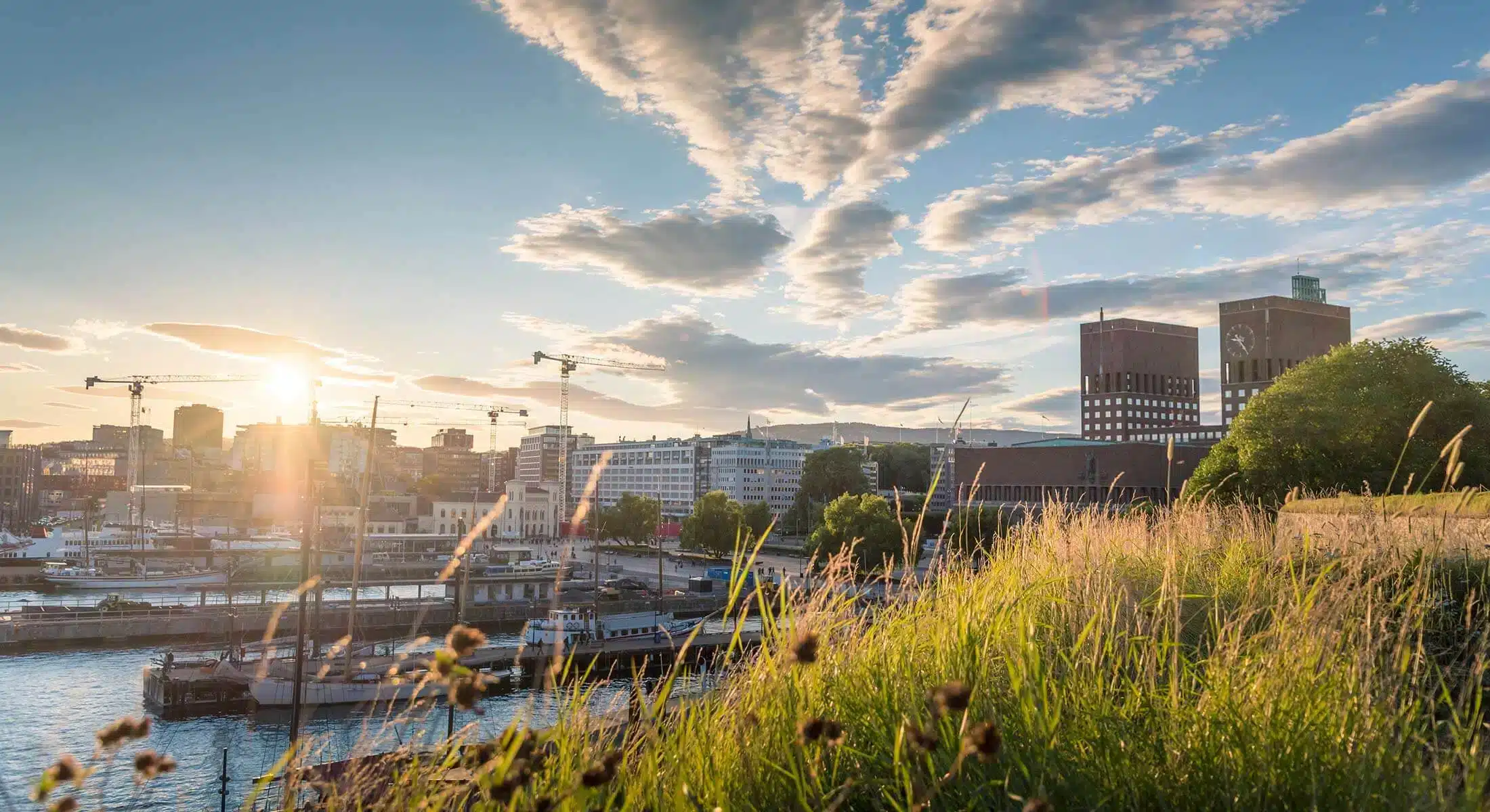 Gressbevokst ås i forgrunnen med et bylandskap, kraner, vannkanten og moderne bygninger under en delvis overskyet himmel i solnedgang.